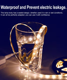 LED Strip Waterproof Light Tape-AIVI-X